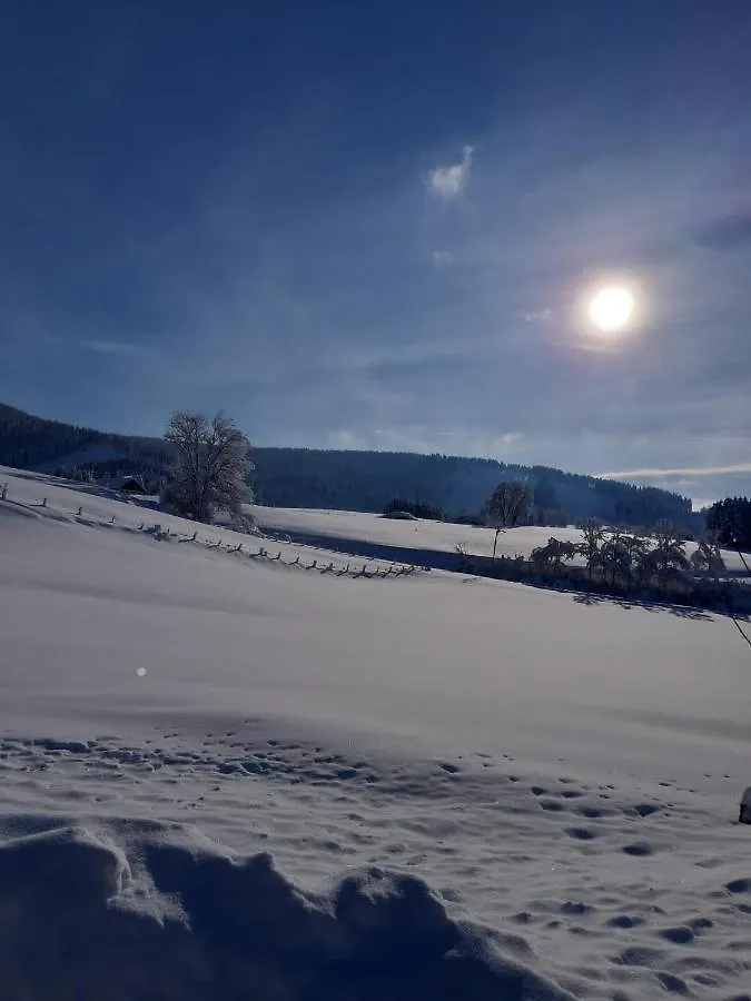 Ferienhaus Rasch Maierhöfen Deutschland