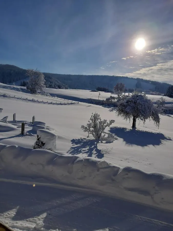 Holiday home Ferienhaus Rasch Maierhofen  Germany