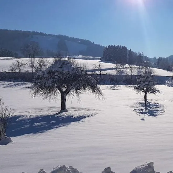 Holiday home Ferienhaus Rasch Maierhofen